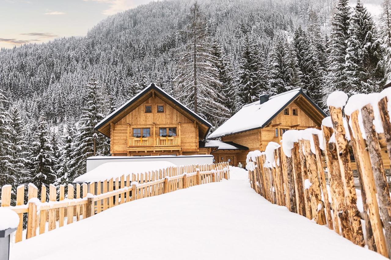 Bergseegut Chalet Und Apartment Wagrain Exterior photo