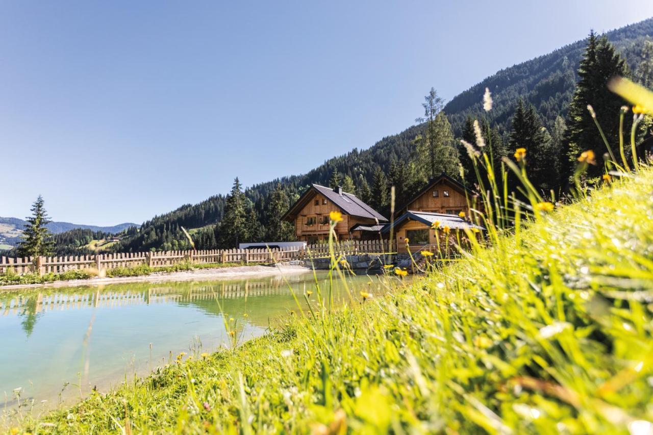 Bergseegut Chalet Und Apartment Wagrain Exterior photo