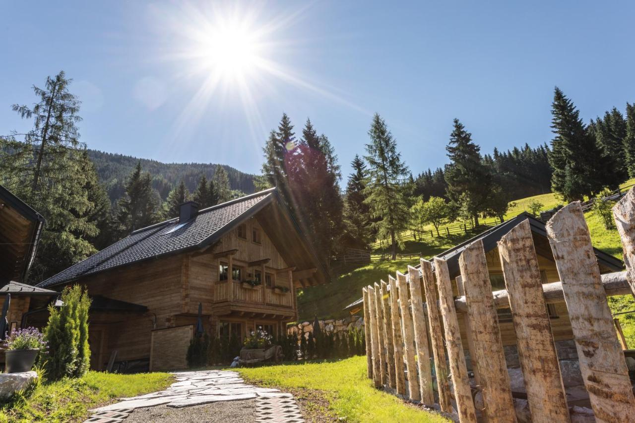 Bergseegut Chalet Und Apartment Wagrain Exterior photo
