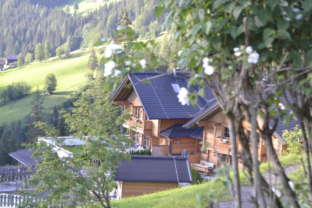 Bergseegut Chalet Und Apartment Wagrain Exterior photo